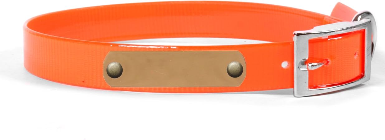 family dollar puppy training pads