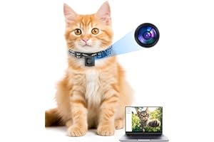 KinetCam Cat Camera Collar for Video Recording - No APP & No WiFi, 1080P Cordless Pet Collar Cameras Outdoor, XS-Size for Cats/Small Dogs -(No SD Card Included)