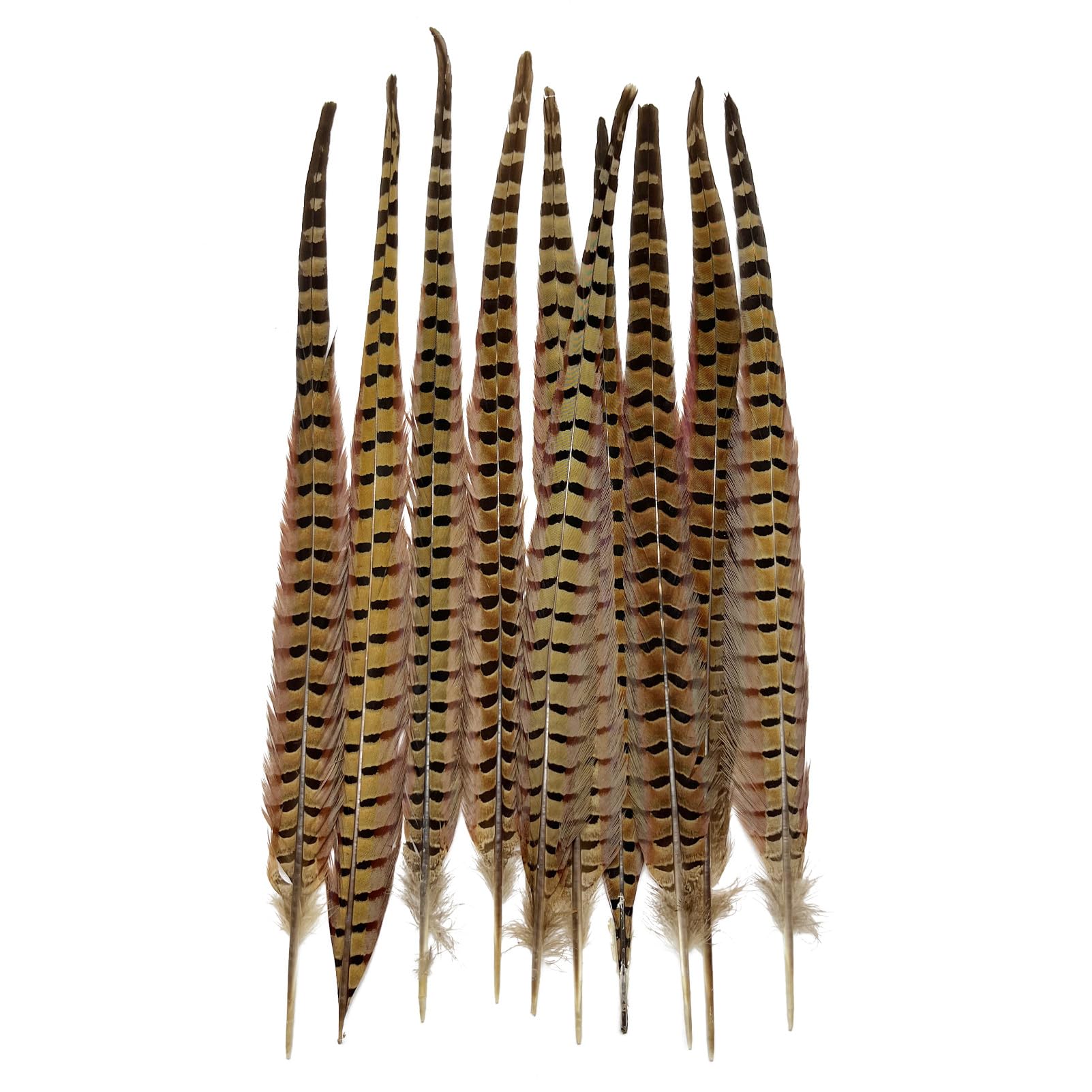 Photo 1 of 10pcs Natural Pheasant Tail Feathers for Floral Arrangements 16-18 Inch, Decorative Feathers for Vase, Bouquet, Crafts, Hats