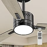 HOMODEN Low Profile Ceiling Fan with Light, Quiet