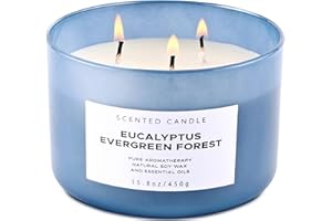 T&H Eucalyptus Evergreen Forest 3-Wick Soy Candle, 15.8 oz | Winter Pine, Balsam Fir & Evergreen Scented Candle | Woodsy Aromatherapy Candle for Home | Clean Burn, Long-Lasting