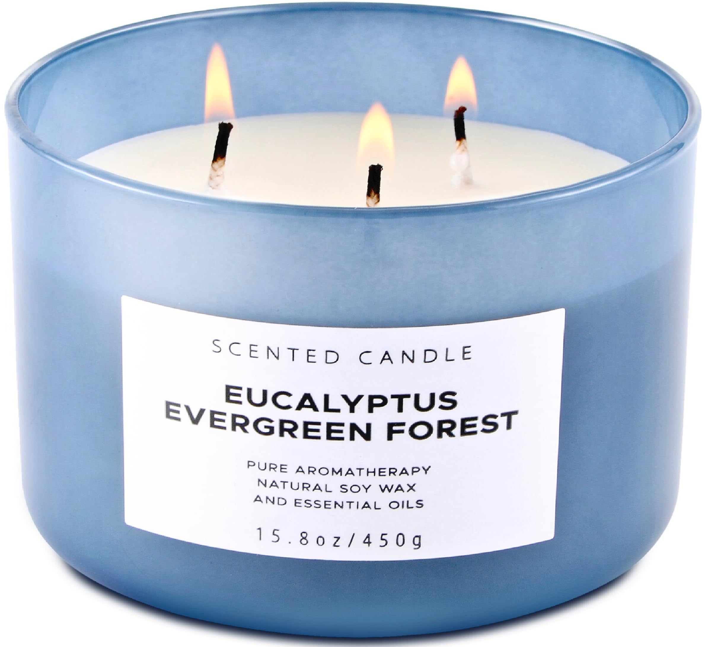 Photo 1 of Eucalyptus Evergreen Forest 3 Wick Scented Candle | Luxury Soy Candles for Home | Relaxing Aromatherapy Stress Relief Candle 15.8 oz | Clean Burn Long Lasting Balsam Fir Woods Candles for Men & Women