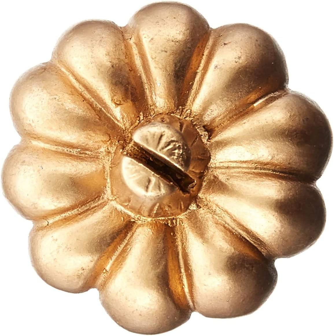 Kate Aspen Pumpkin Place Card Holder, Set of 6, Gold: Kitchen & Dining