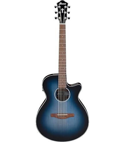 Amazon.com: Ibanez Talman TCY621 Acoustic-electric Guitar