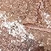 TRLYC Shiny 72