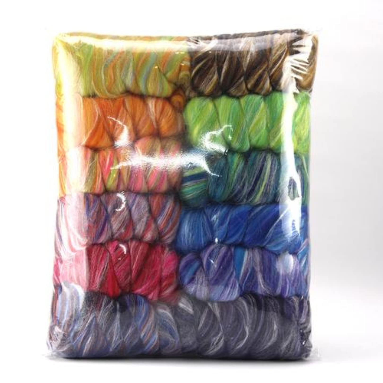Revolution Fibers – Constellation Range Roving 12 Color Pack (300 Grams / 10.5 Oz) | Tonal Blend of 70% Dyed Merino and 30% Tussah Silk Combed Top | Fiber for Felting, Spinning
