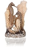 biOrb Small Seahorse Sculpture, Ceramic Resin