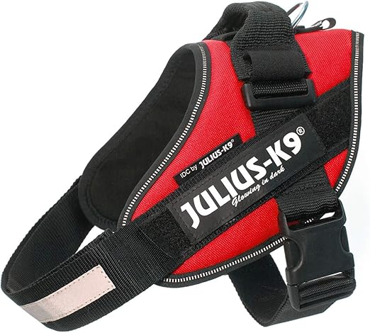 julius k harness