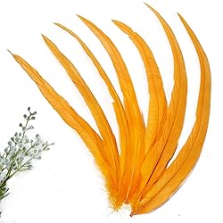 THARAHT 50PCS Rooster Coque Tail Feathers Bulk