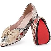 Hxlber Women's Flats Shoes Pointed Toe Bow Embroidery Ballet Comfortable Dressy Slip On Flat