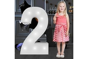 JOYBOX DESIGN Cool White 3FT Marquee Light Up Numbers Pre-Cut Frame Giant Marquee Numbers 2, Mosaic Numbers for Balloons, Light Up Numbers for 12th 20th 21st Birthday Anniversary Party Decor