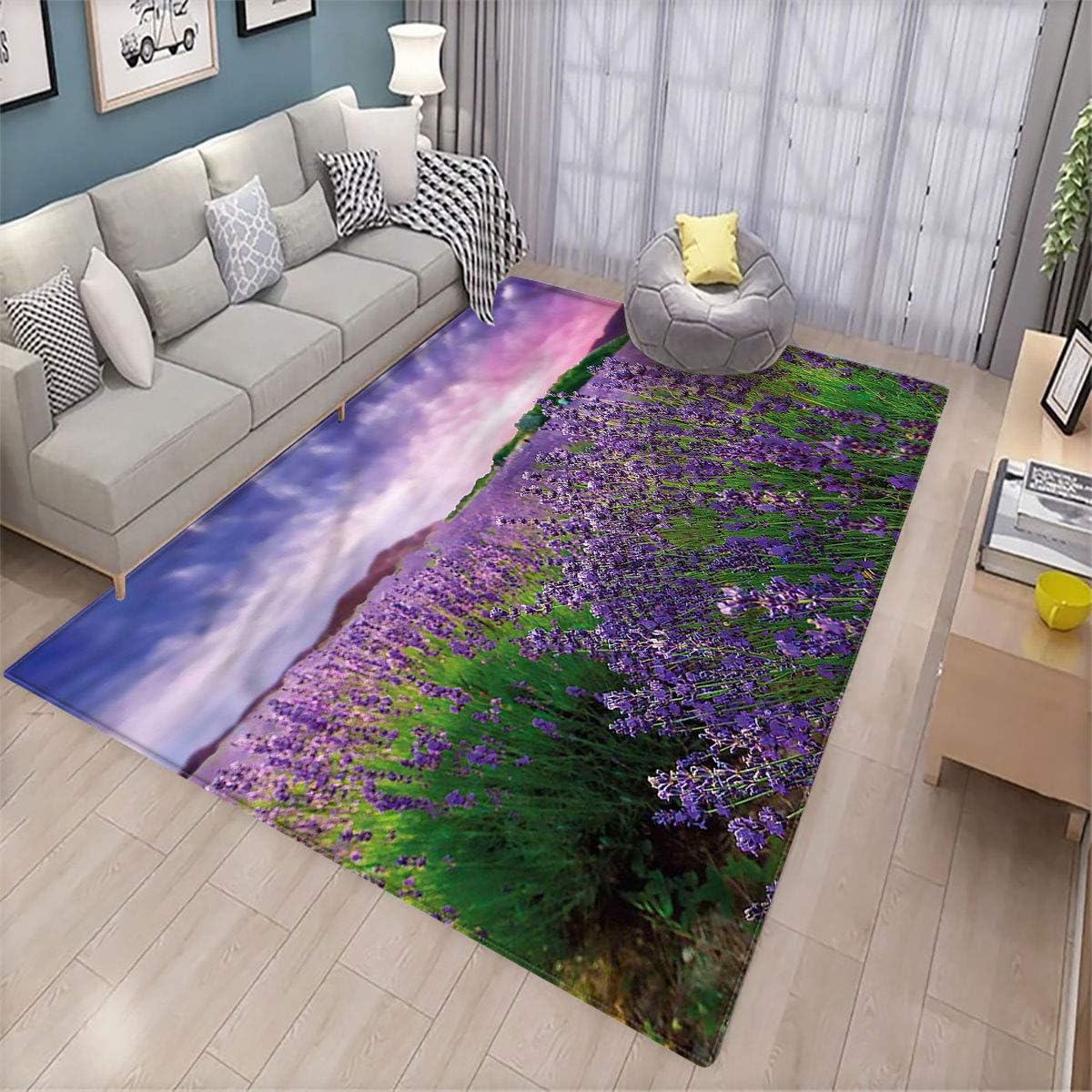 Lavender Balcony Floor mat Tihany Hungary Sunset Colorful