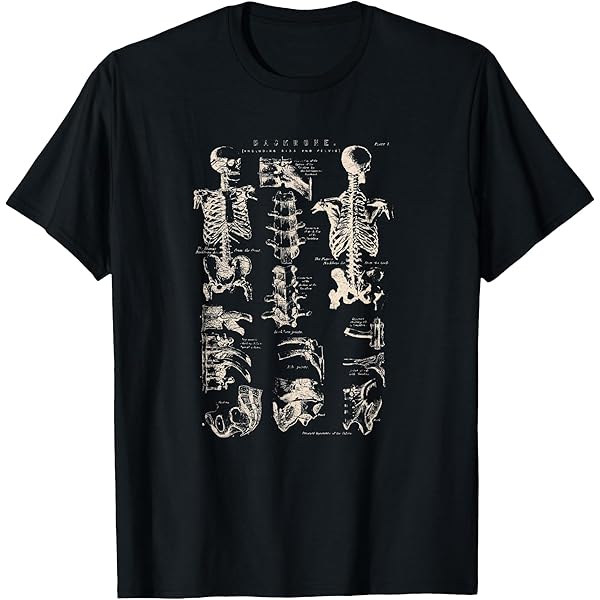Amazon.com: Vintage Human Anatomy Brain Tee T-tshirt T-Shirt
