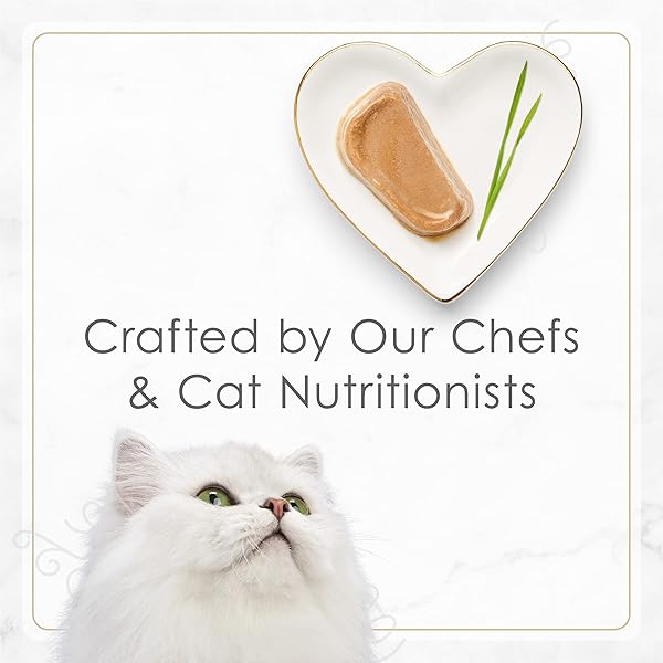 PURINA FANCY FEAST GOURMET WET CAT FOOD VARIETY PACK, PETITES PATE COLLECTION, BREAK-APART TUBS, 48 SERVINGS – (PACK OF 24) 2.8 OZ. TUBS