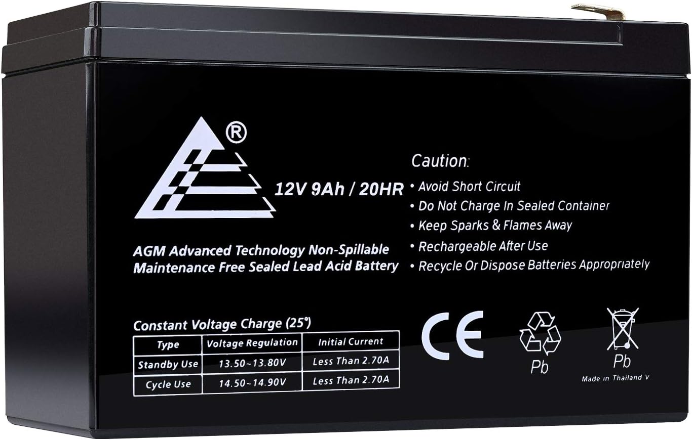 ExpertPower EXP1290-2 12V 9AH SLA Battery: Automotive