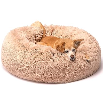 forever friends dog beds