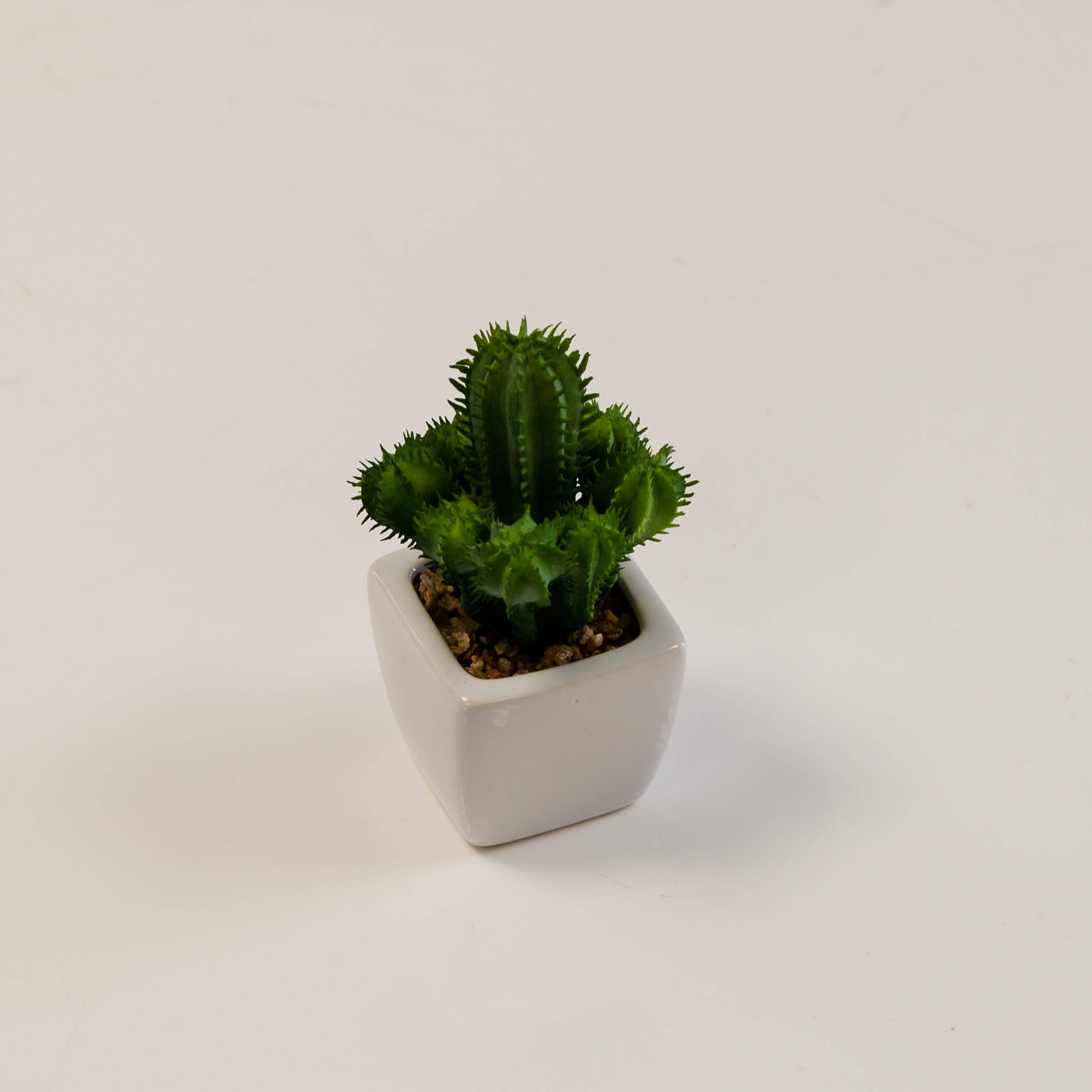 Artificial Succulent Cactus Plant With Pot Fake Cactus Office Home Garden Decor