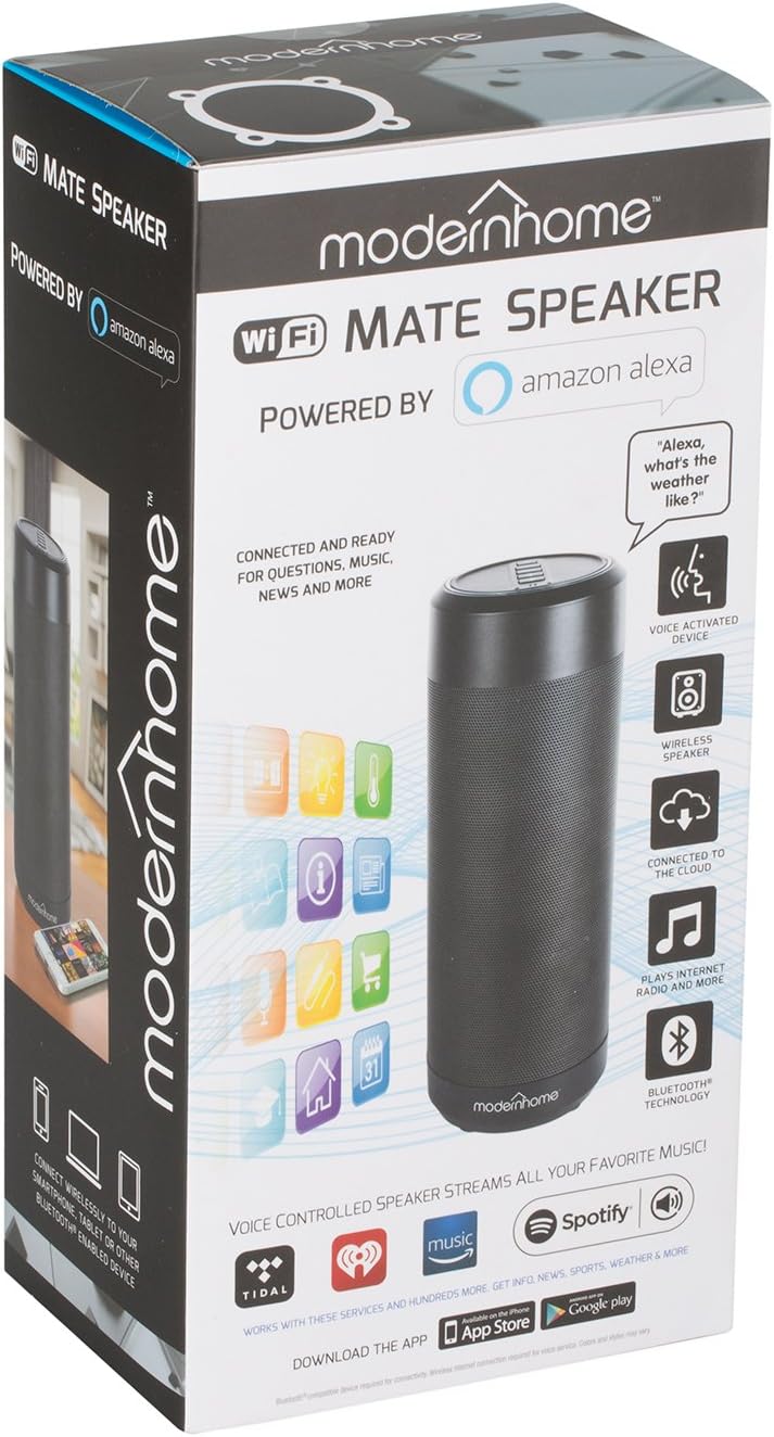 modern home wifi mate speaker