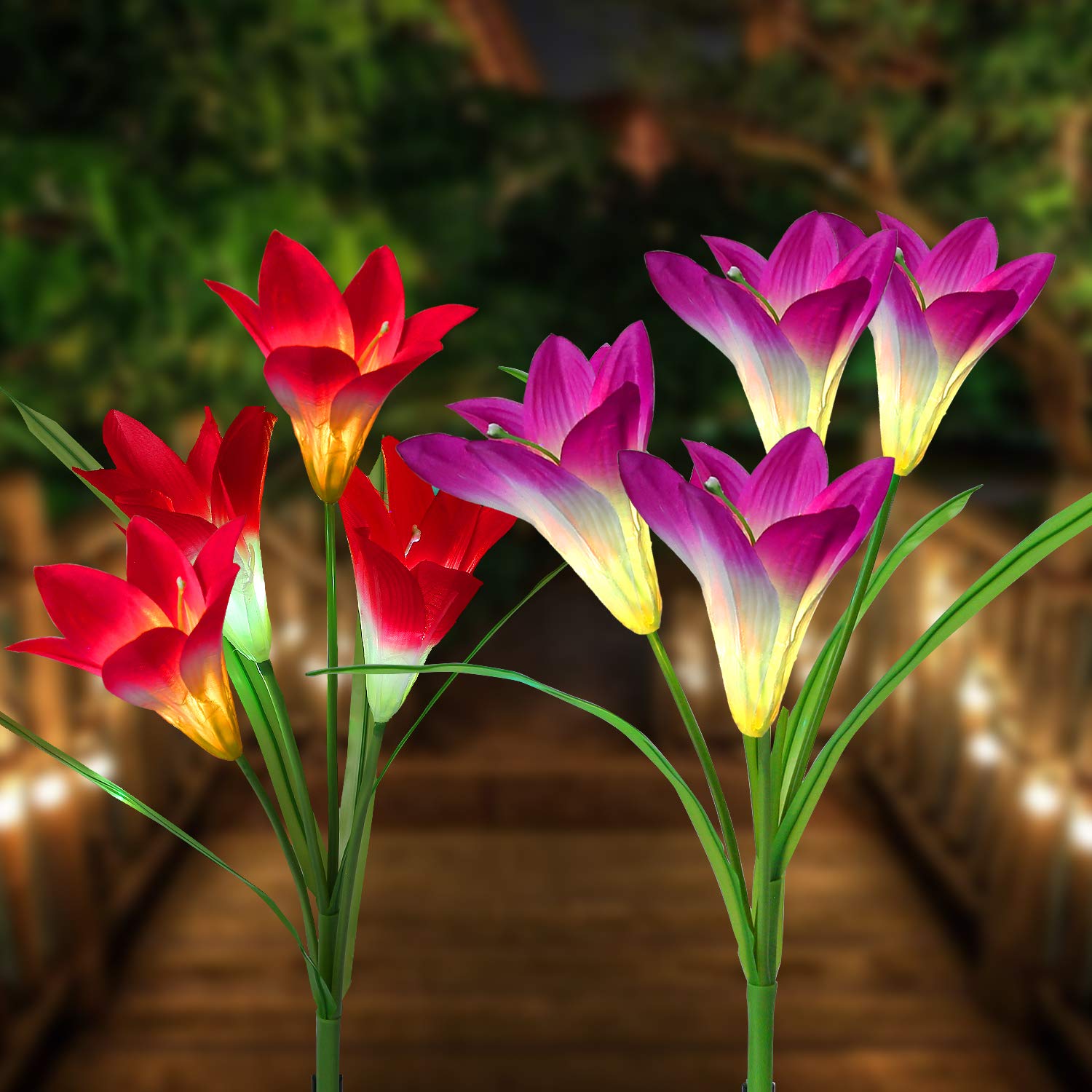 Loren Solar Lights Outdoor - New Upgraded Solar Garden Lights, Multi-Color Changing Lily Solar Flower Lights for Patio,Yard Decoration, Bigger Flower and Wider Solar Panel (2Pack)