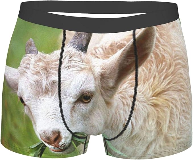 YEGFTSN Goat Lamb Eating Little Grass Men's Underwear Waistband Boxer Brief Stretch Swimming