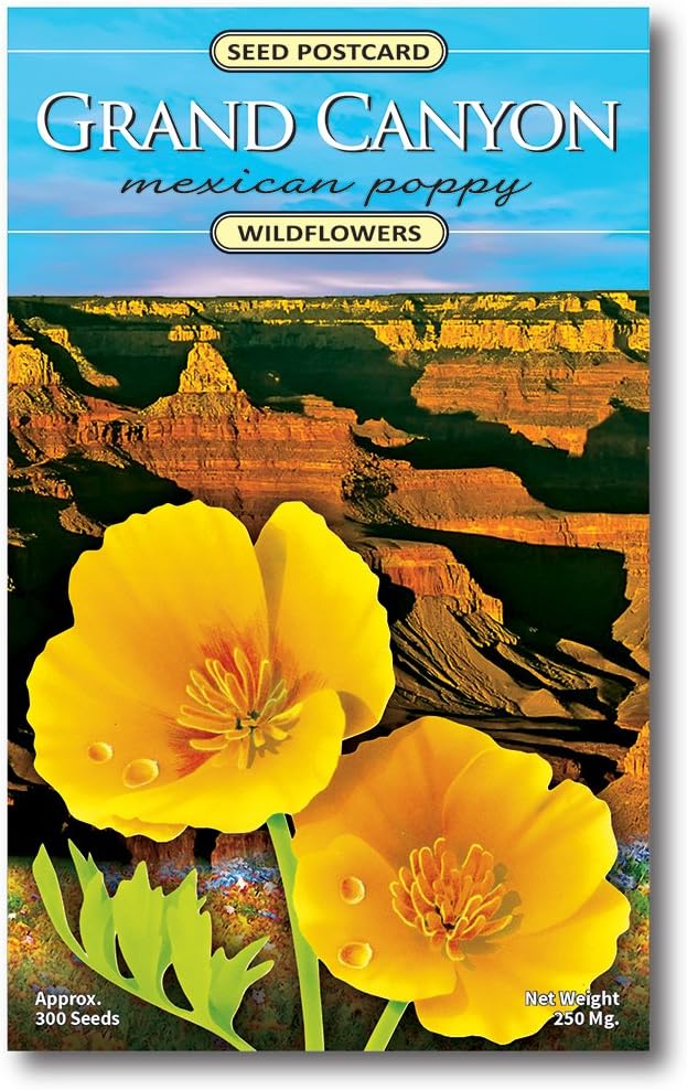 Grand Canyon National Park Mexican Poppy Wildflower Seed Packet - Enjoy The Natural Beauty of Grand Canyon Flowers in Your Own Home Garden