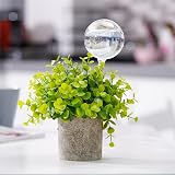 [Tomorotec] 6 Pack Light Iridescent Glass Self-Watering Spikes Iridescent Color view 8