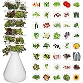 Lettuce Grow Farmstand Indoor Kit | Glow Rings | 36 Seedlings | 6ft 7in | Self-watering system | Largest growing capacity | BPA-free food grade | Year-round growing