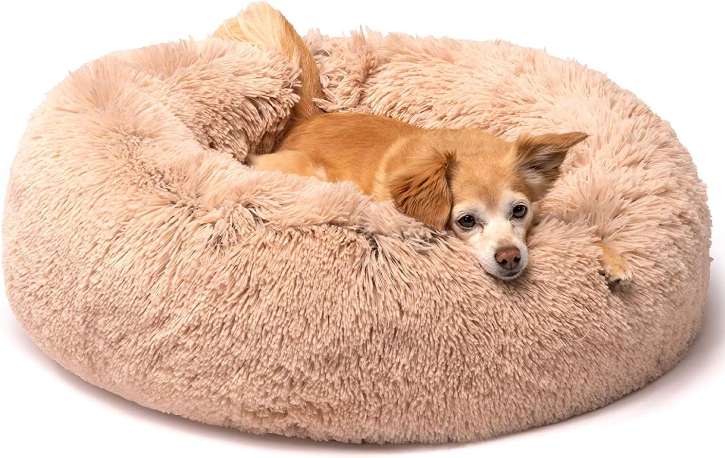 Best Anti Anxiety Dog Bed Canada / Calming Pet Bed For Cat Or Dog Give