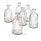Serene Spaces Living (6 Pack) Bud Vases for Apothecary Jars, Decorative Glass Bottles, Wedding Reception Centerpieces, Mini Flower Vases, Small Medicine Bottles for Home Decor
