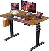 ErGear Electric Standing Desk 100x60cm 4 Memory Smart Panel, 72-118cm