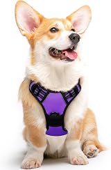 Eagloo Dog Harness Medium No Pull Front Back Clips Reflective Purple M