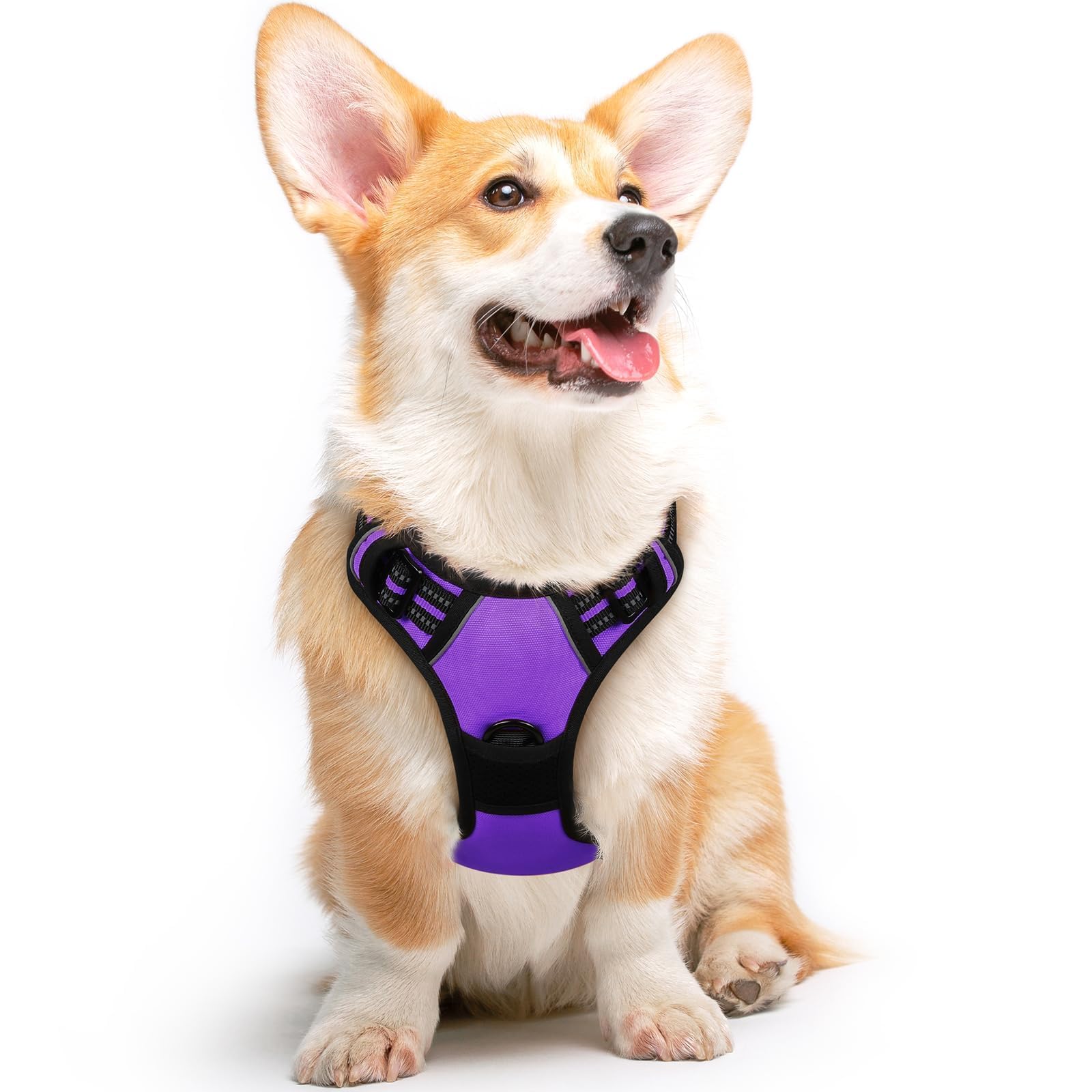 Eagloo Dog Harness Medium, No Pull Harness with Front Back Clips, Adjustable Dog Walking Vest, Soft Padded Pet Vest, Reflective No-Choke Breathable with Easy Control Handle, Purple, M