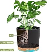 QCQHDU Plant Pot 25.4cm 2 Pack Indoor Outdoor with Drainage Hole Tray Dark Grey view 4