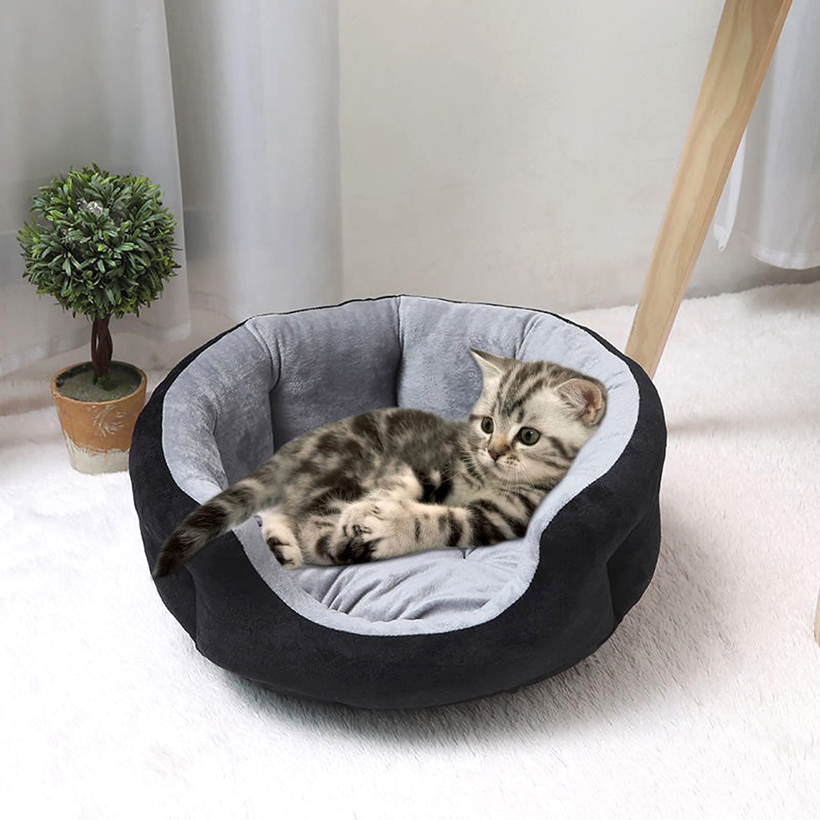 View 8