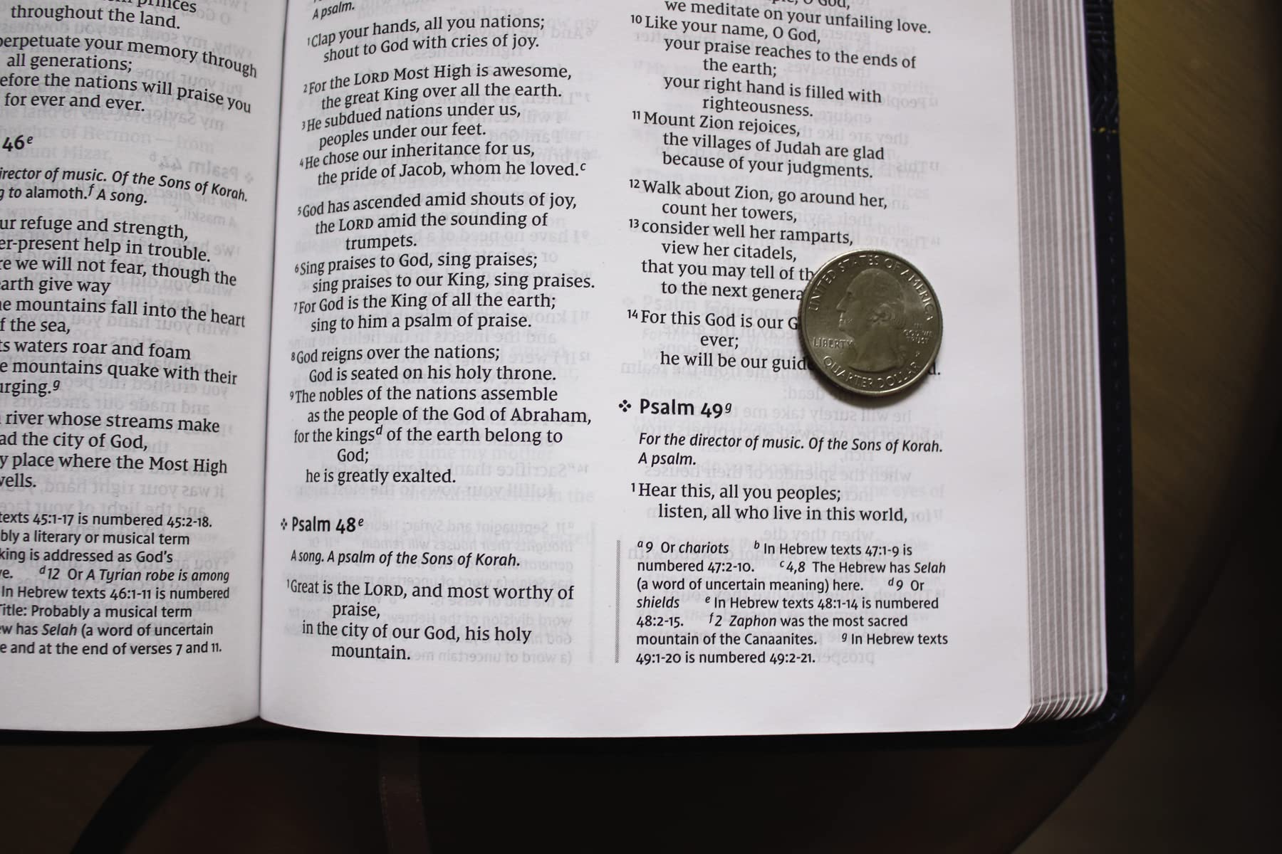 NIV, Thinline Bible, Leathersoft, Blue, Red Letter, Comfort Print