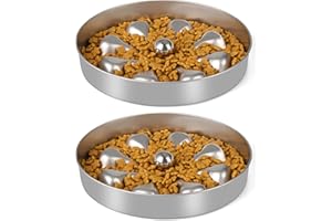 Oiwliur 2-Pack Slow Feeder Dog Bowls - Stainless Steel Metal Bowl for Slow Feeding, Double-Sided Design Dog Bowl Suitable for Dry, Wet, or Raw Food, 5 Cups Large Capacity, Ideal for All Dog Sizes