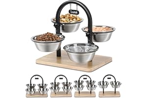 handrong Elevated Cat Bowls Elevated,4 Heights Raised Cat Food Bowl for Indoor Cats with 5 Steel Bowls for Kitten Puppy Small Dogs