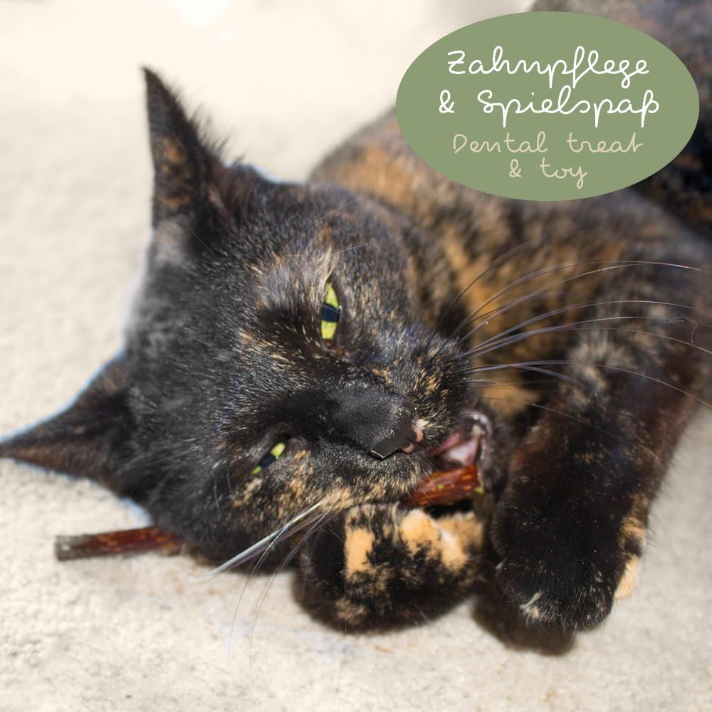 KaraLuna 8 x Cat Sticks I Cat Dental Care & Cat Chew Toy I Natural Product Made of Matatabi Stick Cat Catnip Stick Valerian Cat Sticks Cat Chew Sticks Cat Toy - Image 3