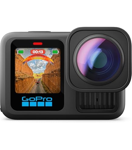 Amazon.com : GoPro Camera Karma Grip (GoPro Official