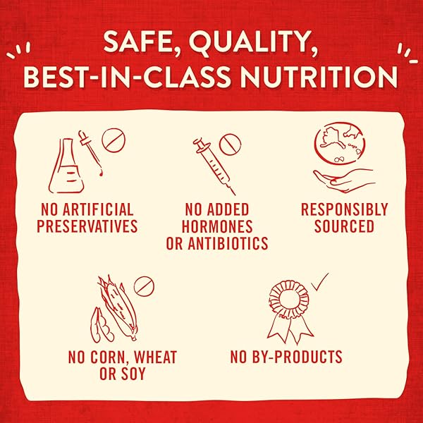 STELLA & CHEWY’S FREEZE-DRIED RAW WILD WEENIES DOG TREATS – HIGH-PROTEIN TRAINING TREATS FOR DOGS & PUPPIES – ALL-NATURAL GRASS-FED BEEF RECIPE WITH 97% MEAT & ORGANS – USA MADE – 3.25 OZ BAG