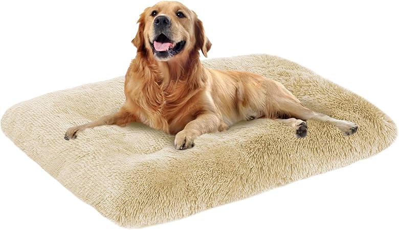 jumbo plush dog bed