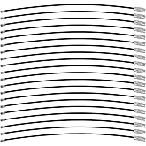 Bidponds 7.8 Inch Wire Keychain Cable,Large Nylon Coated Stainless Steel Key Ring Loop Holder,2mm Heavy Duty, 20PCS