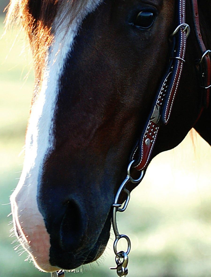 Carol Goostree Delight Chain Snaffle Barrel Racing Bit by Classic