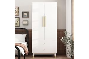 Hitow Wardrobe Armoire Closet with 2 Doors, Wardrobe Cabinet with 2 Drawers & Hanging Rod, Bedroom Armoire Clothes Organizer with Gold Handles, Type B White (31.5" W x 19.1" D x 65.1" H)