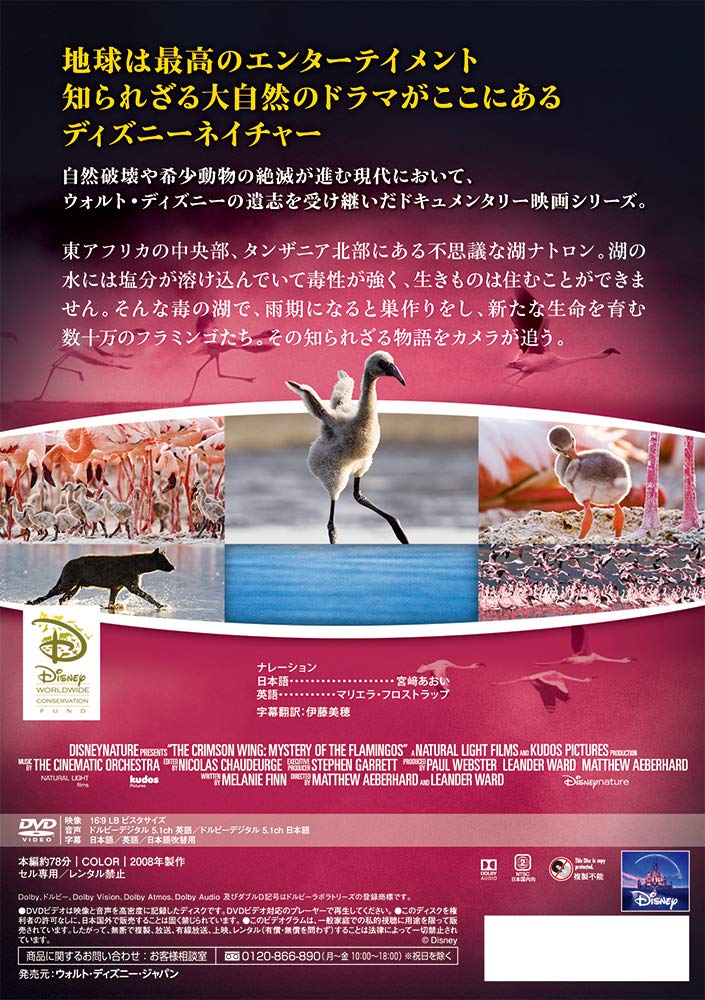 Documentary Disneynature The Crimson Wing Mystery Of Flamingos Edizione Giappone Italia Dvd Amazon Es Cine Y Series Tv