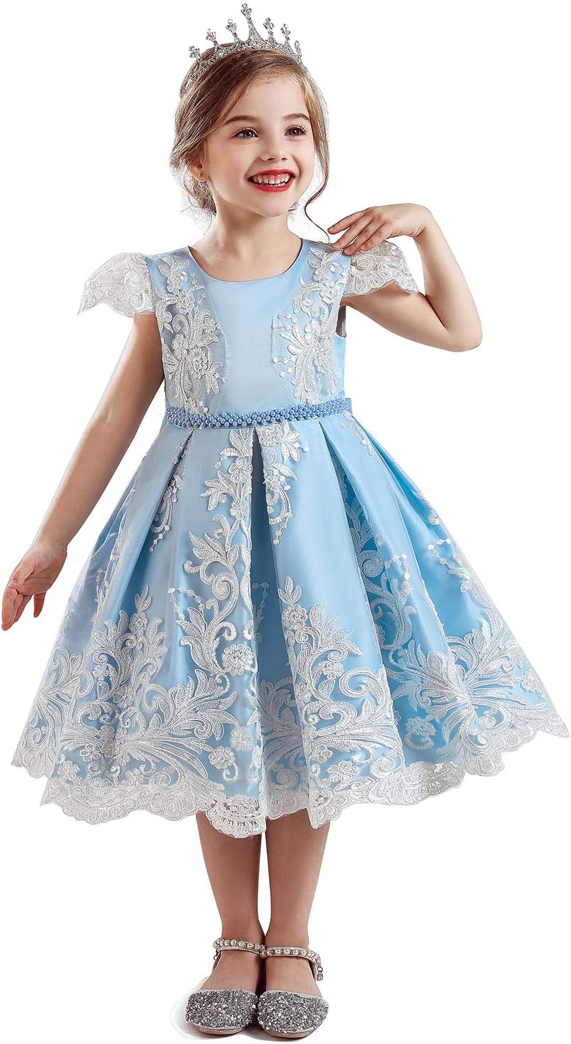 HNXDYY Girls Princess Dress Costume Carnival Party Elegant Dress Size 4-9 Years