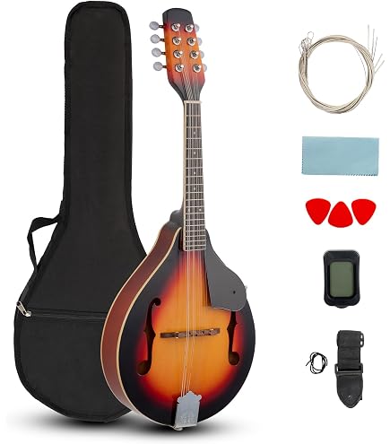 Amazon.com: Ibanez M510OVS Acoustic Mandolin in Vintage Sunburst
