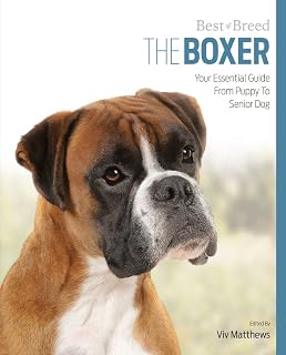 Handbags And Poobags Tales Of A Soho Boxer Dog Amazonco - 