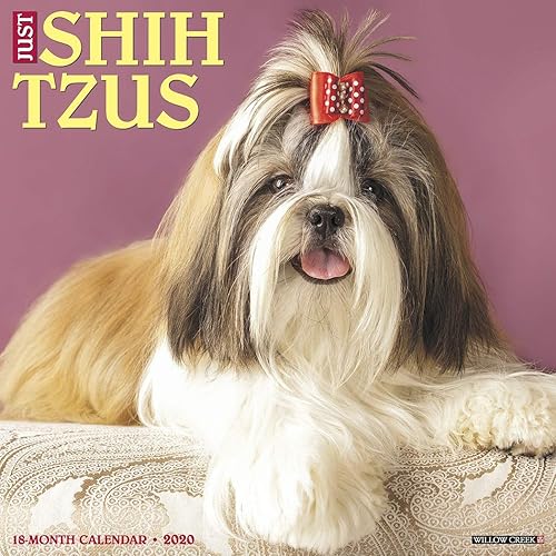 Download Just Shih Tzus 2020 Calendar PDF