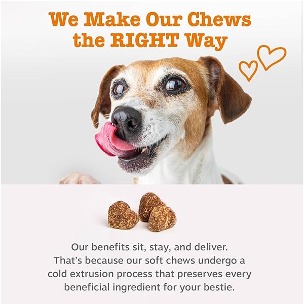 ZESTY PAWS OMEGA 3 ALASKAN FISH OIL CHEW TREATS FOR DOGS – WITH ALASKOMEGA FOR EPA & DHA FATTY ACIDS – HIP & JOINT SUPPORT + SKIN & COAT CHICKEN FLAVOR (90 SOFT CHEWS)